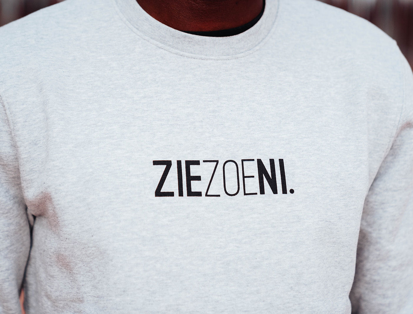 Grijze trui met opdruk ZIEZOENI.