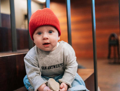 baby met een grijze trui met opdruk Van Antwerpen
