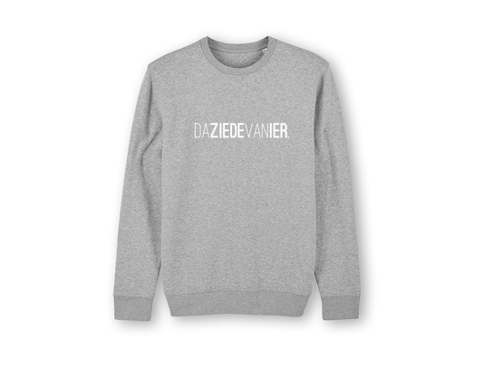DAZIEDEVANIER. Grijze trui unisex