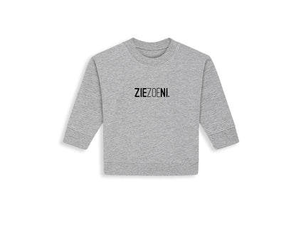 Grijze trui voor baby's met opdruk ZIEZOENI.
