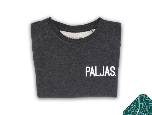 Trui PALJAS. Grijs Kinderen